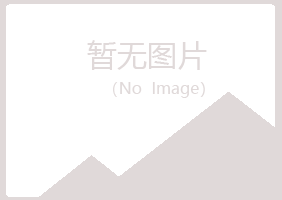 温州埋没音乐有限公司